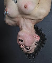 Meis Suspension Needle Torture